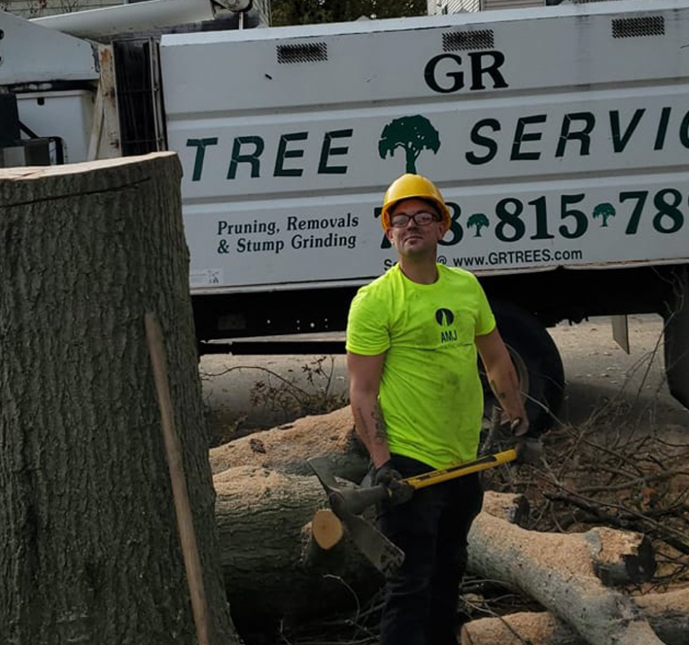 Home NJ Tree Removal