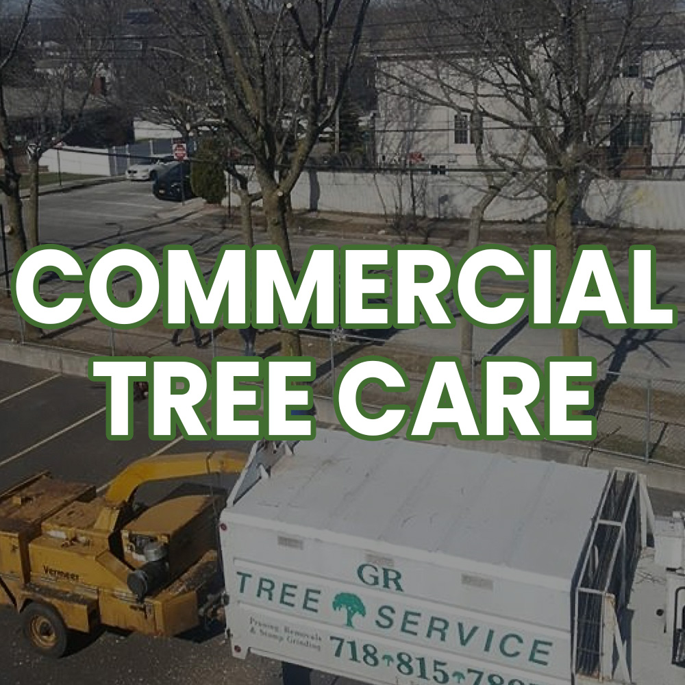 Commercial Tree Care Button