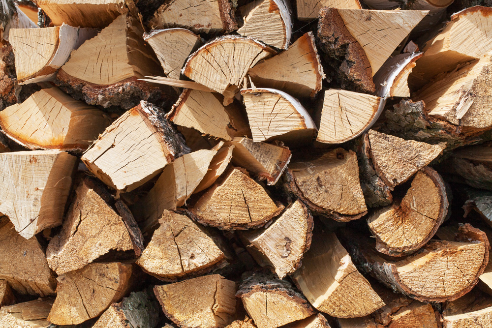 Staten Island Firewood Sales | G & R Tree Service
